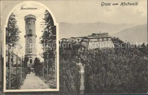 Oybin Hochwald und Aussichtsturm Kat. Kurort Oybin