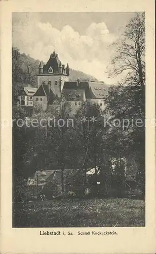 Liebstadt Schloss Kuckuckstein Kat. Liebstadt