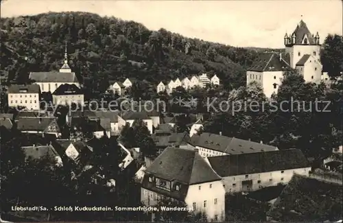 Liebstadt Kirche Ortsansicht Schloss Kuckuckstein Kat. Liebstadt