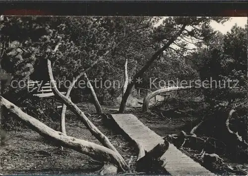 Zinnwald Georgenfeld Motiv im Hochmoor Kat. Altenberg