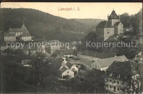 Liebstadt Teilansicht mit Schloss Kuckuckstein Kat. Liebstadt