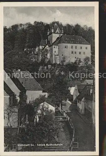 Liebstadt Teilansicht mit Schloss Kuckuckstein Kat. Liebstadt