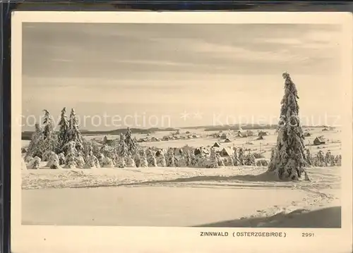 Zinnwald Georgenfeld Winter Panorama Kat. Altenberg