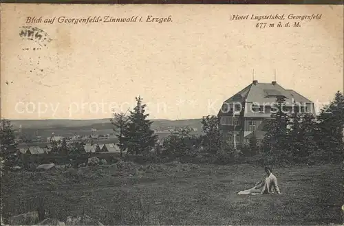 Zinnwald Georgenfeld Hotel Lugsteinhof Kat. Altenberg