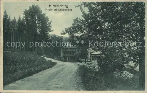 Hirschsprung Strasse bei Ladenmuehle Kat. Altenberg