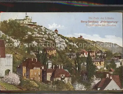 Niederloessnitz Berg Gasthaus Friedensburg Kat. Radebeul