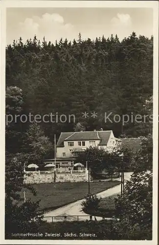 Zwiesel Bad Gottleuba Berggiesshuebel Fremdenhof Waldfrieden  Baude Kat. Bad Gottleuba Berggiesshuebel