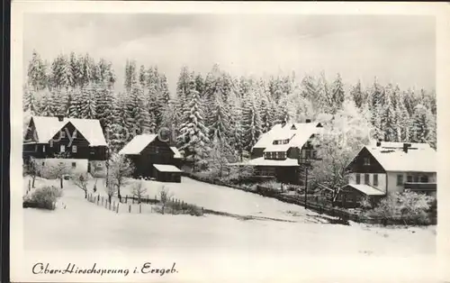 Hirschsprung Winter Kat. Altenberg