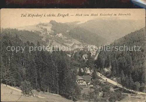 Kipsdorf Blick vom Hotel Kaiserhof  Kat. Altenberg