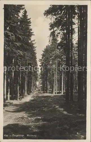 Kipsdorf Waldweg Kat. Altenberg