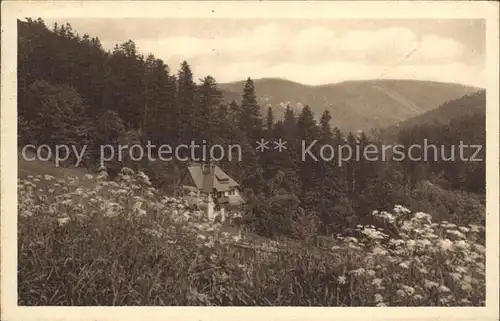 Baerenfels Erzgebirge Blick nach Kipsdorf Kat. Altenberg