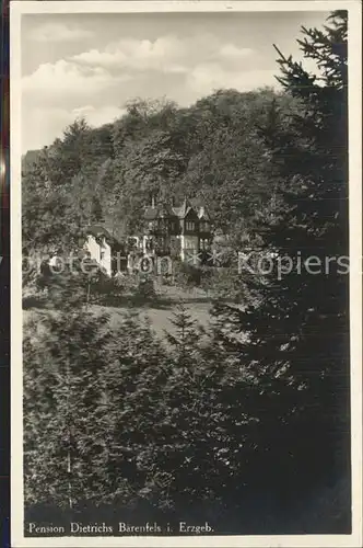 Baerenfels Erzgebirge Pension Dietrichs Kat. Altenberg