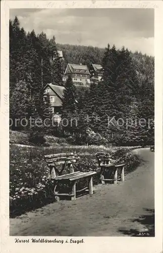 Waldbaerenburg Baenke im Park Kat. Altenberg