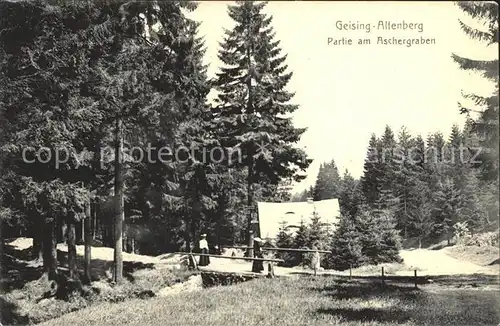 Geising Erzgebirge Aschergraben Kat. Geising Osterzgebirge