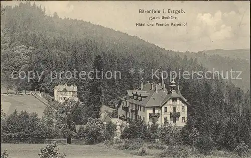 Baerenfels Erzgebirge Hotel und Pension Kaiserhof Kat. Altenberg