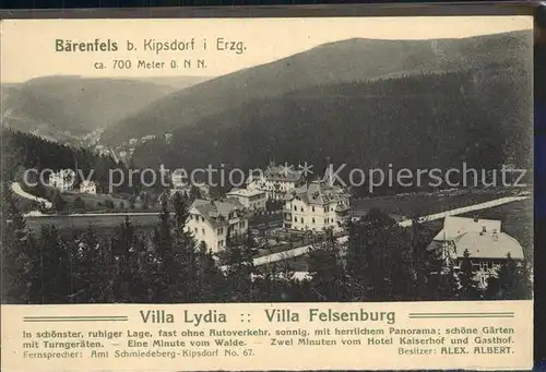 Baerenfels Erzgebirge Villa Lydia Kat. Altenberg