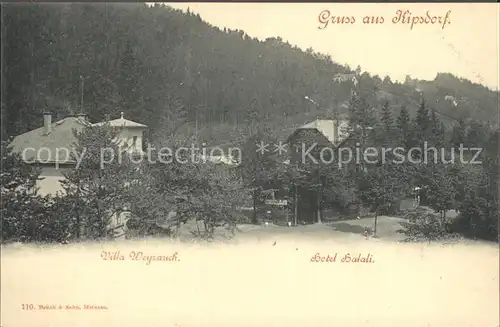 Kipsdorf Villa Weyrauch Hotel Hatali Kat. Altenberg