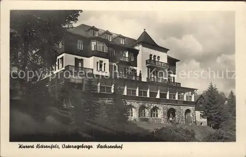 Baerenfels Erzgebirge Sachsenhof Kat. Altenberg