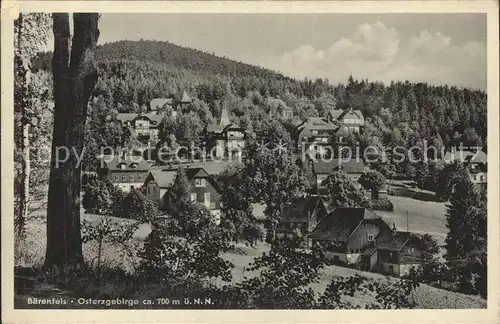 Baerenfels Erzgebirge Dorfansicht Kat. Altenberg