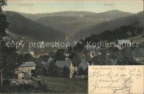 Kipsdorf Dorfansicht Kat. Altenberg