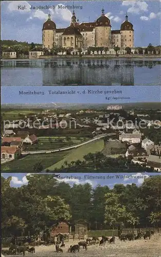 Moritzburg Sachsen Koenigliches Jagdschloss Totalansicht von der Kirche gesehen Kat. Moritzburg Dresden
