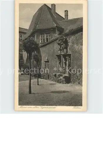 Zittau Mauer altes Gymnasium Kat. Zittau