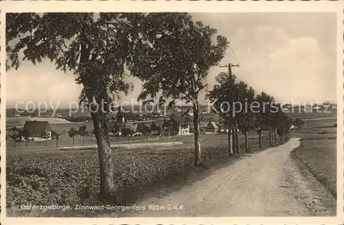 Zinnwald Georgenfeld Weg zum Dorf Kat. Altenberg