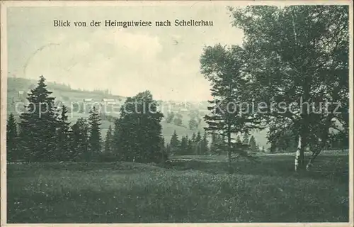 Schellerhau Heimgutwiese Kat. Altenberg