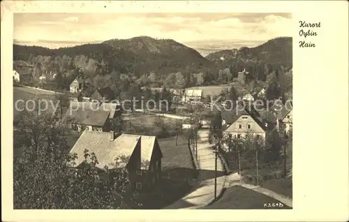 Hain Oybin Panorama Zittauer Gebirge Kat. Kurort Oybin