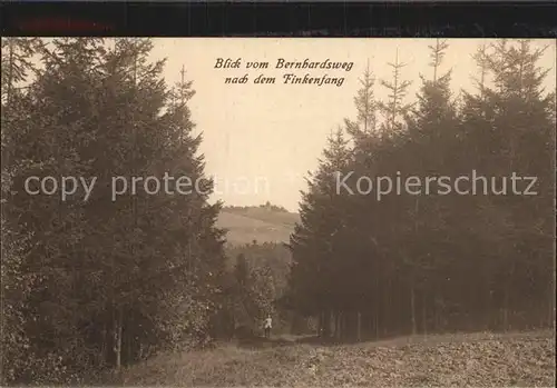 Kreischa Blick vom Bernhardsweg nach dem Finkenfang Kat. Kreischa Dresden