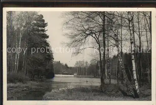 Tharandt Seerenteich Baude Tharandter Wald Handabzug Kat. Tharandt