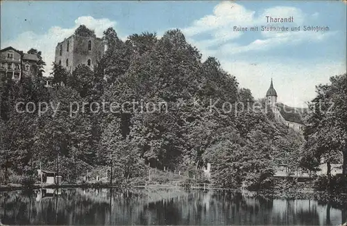 Tharandt Ruine Stadtkirche Schlossteich Kat. Tharandt