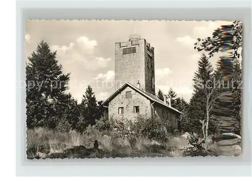 Holzfreyung Turmgaststaette Oberlichtenau Aussichtsturm Fremdenheim Kat. Waldkirchen