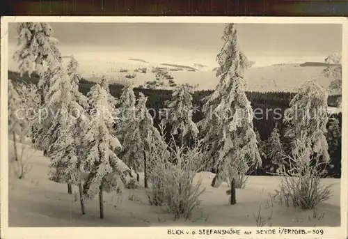 Seyde Stefanshoehe Winter Kat. Hermsdorf Osterzgebirge