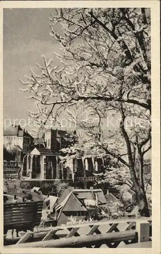 Bautzen Ruine Nicolaikirche Kat. Bautzen