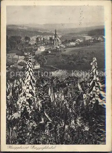 Berggiesshuebel Kneippkurort Kat. Bad Gottleuba Berggiesshuebel