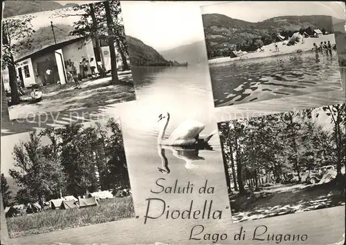 Agnuzzo Camp. Piodella Schwan Kat. Lugano