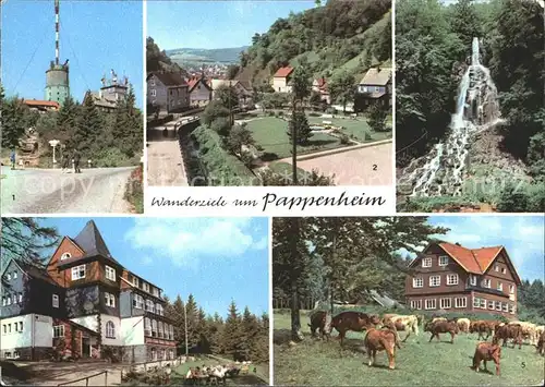 Pappenheim Thueringen Grosser Inselsberg Spiessberghaus Berghotel Ebertswiese  Kat. Floh Seligenthal