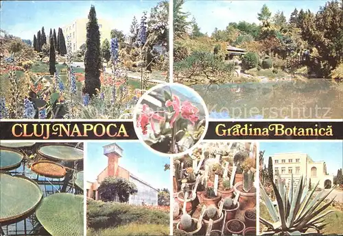 Cluj Napoca Gradina Botanica Kat. Cluj Napoca