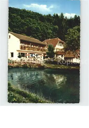 Loecherberg Haus Schwarzwald Idyll Kat. Oppenau