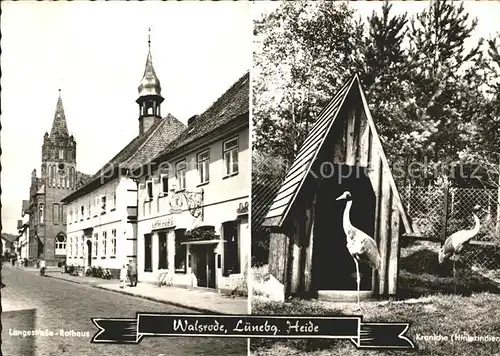 Walsrode Lueneburger Heide Langestrasse Kraniche Kat. Walsrode