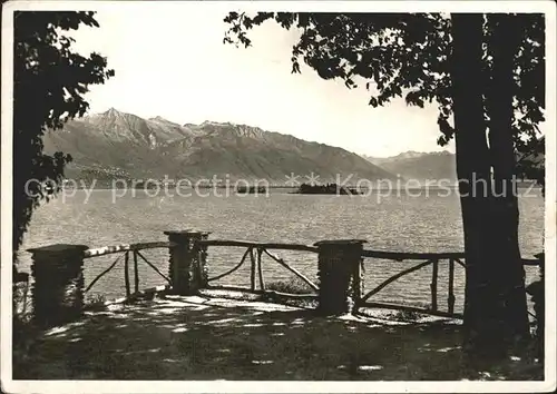 Brissago TI Blick von Miralago auf Lago Maggiore Kat. Brissago