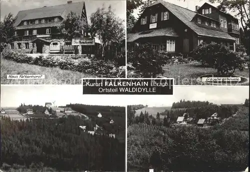 Falkenhain Altenberg Erzgebirge Haus Falkenhorst Erzgebirgsbaude Kat. Altenberg