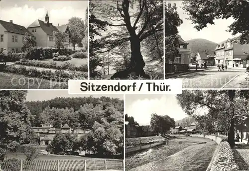 Sitzendorf Thueringen Kurverwaltung Schlangenbuche Hauptstrasse Hotel Bergterrasse  Kat. Sitzendorf Schwarzatal