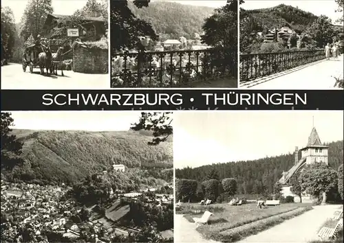 Schwarzburg Thueringer Wald Schweizer Haus Postkutsche Kat. Schwarzburg