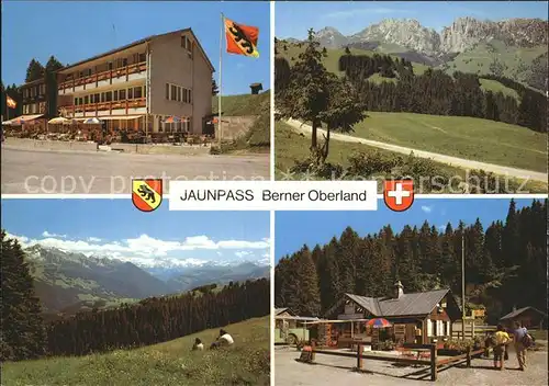 Jaunpass Hotel des Alpes Gastlosen Simmental  Kat. Jaun