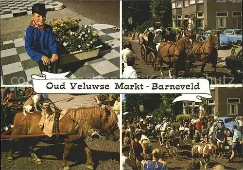 Barneveld Gelderland Veluwse Markt Pferd Hund  Kat. Barneveld