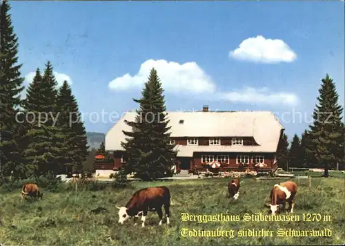 Todtnauberg Berggasthaus Stuebenwasen  Kat. Todtnau