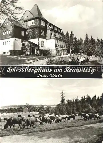 Friedrichroda Spiessberghaus am Rennsteig Thueringer Wald Kuehe Kat. Friedrichroda