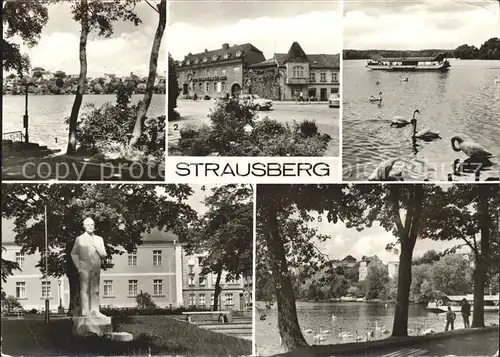 Strausberg Brandenburg Straussee Grosse Strasse Faehre Leninplatz Denkmal Statue Schwaene Kat. Strausberg